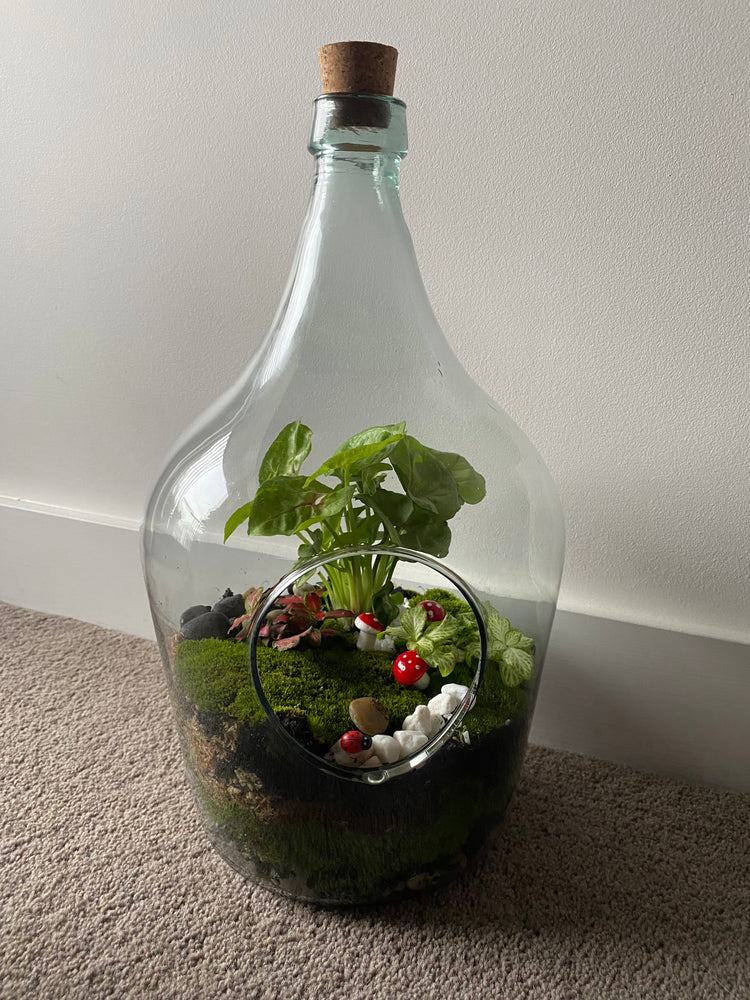 Terrariums